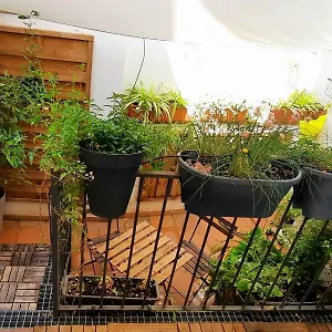 Casa Honda10 Granada